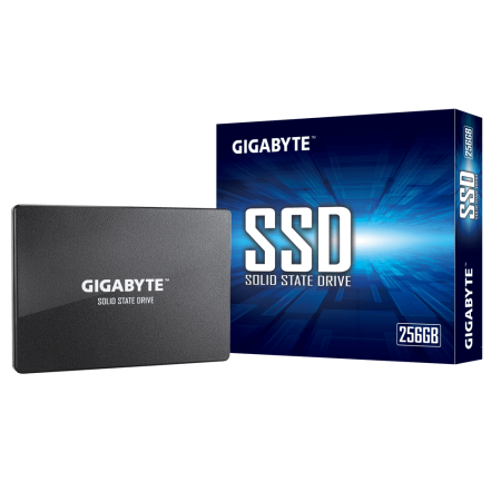 SSD накопичувач внутрішній GIGABYTE GP-GSTFS31256GTND (GP-GSTFS31256GTND)