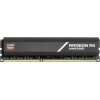 Модуль пам'яті AMD R9S48G3000U2S (R9S48G3000U2S)