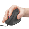 Миш TRUST GXT 144 Rexx Ergo Mouse (22991)