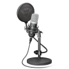 Мікрофон TRUST GXT 252 Emita USB Microphone (21753)