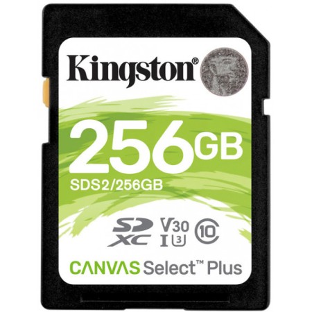 Картка пам'яті KINGSTON SDS2/256GB (SDS2/256GB)