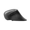 Миш TRUST Verro Wireless Ergo Mouse (23507)