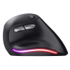 Миш TRUST Bayo Ergo Recharge Wrls Mouse (24731)