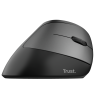 Миш TRUST Bayo Ergo Recharge Wrls Mouse (24731)