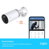 Хмарна Wi-Fi камера TP-LINK Tapo C400S2 (Tapo C400S2)